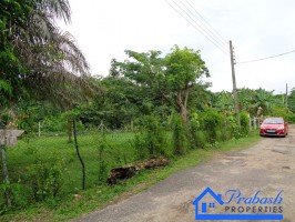 Land for Sale at Pelawatta
